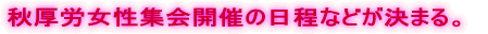 秋厚労女性集会開催の日程などが決まる。